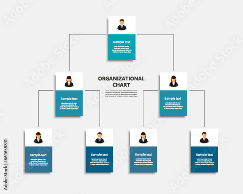 Organizational chart with business avatar icons. Business hierarchy infographic elements. Vector illustration 