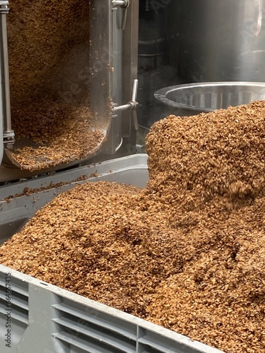 Photos kettle beer ale brewery mashed mashing oats and malt  Stainless steel mash boile