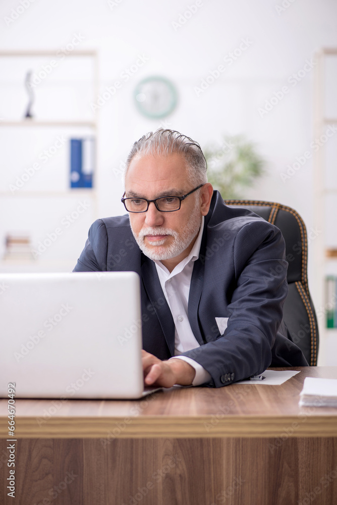 Old male employee working in the office Old male employee working in the office