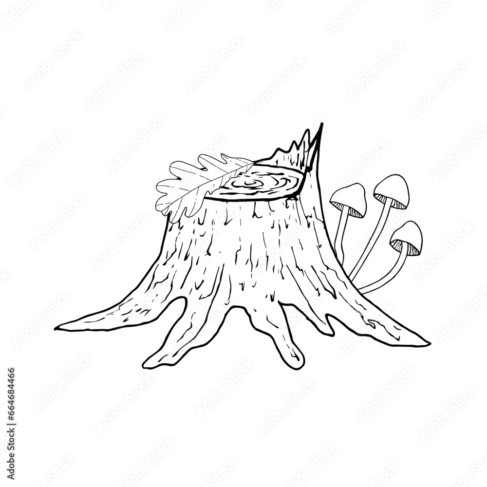 Obraz premium Wooden stump with mushrooms and leaf. Hand drawn vector illustration. For coloring, cards, printing, packaging, invitations, business cards, advertising