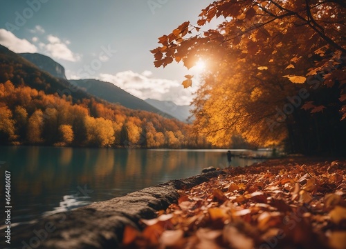 Landscapes with autumn flowers and blurred background