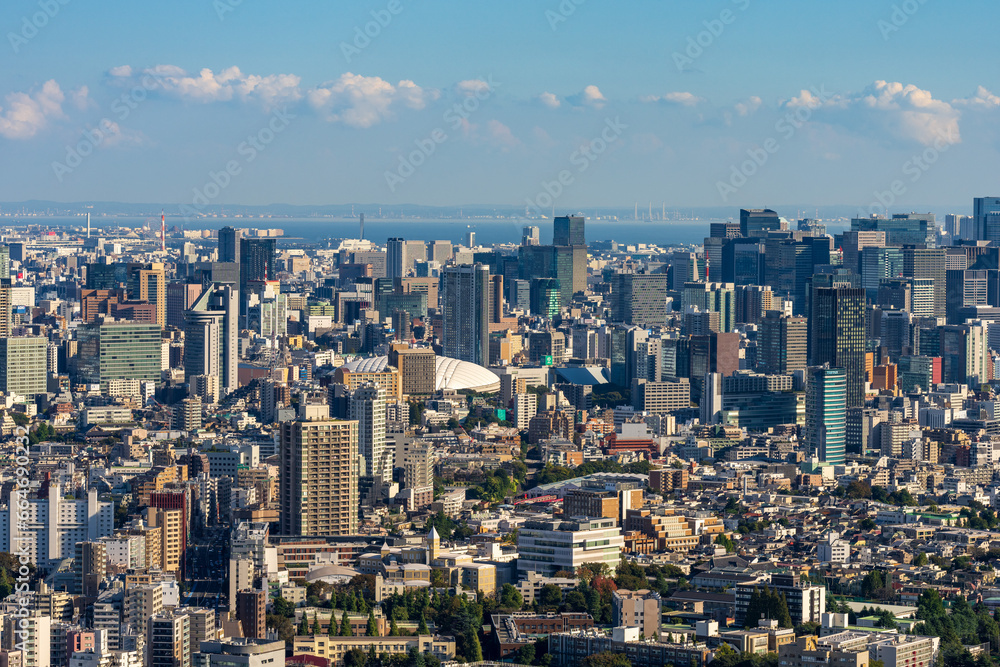 High Dense houses and buildings at Greater Tokyo area at daytime.