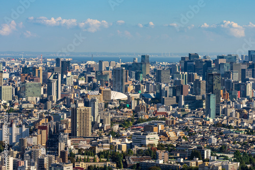 High Dense houses and buildings at Greater Tokyo area at daytime.