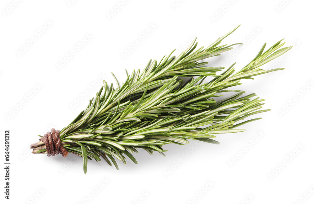 Bunch of fresh rosemary isolated on white, top view Bunch of fresh rosemary isolated on white, top view
