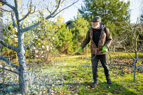 Middle age gardener with a mist fogger sprayer sprays fungicide and pesticide on bushes and trees. Protection of cultivated plants from insects and fungal infections. photo