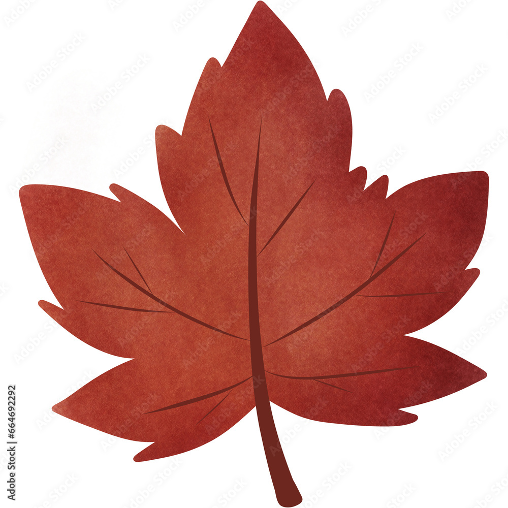 Obraz premium red maple leaf