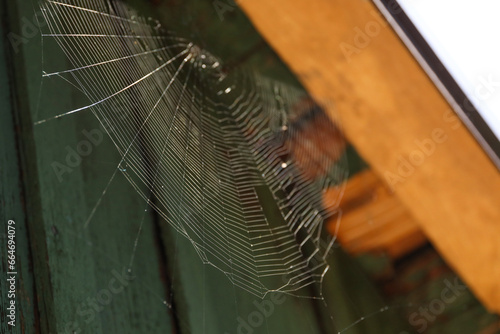 Cobweb on wooden building outdoors, low angle view photo