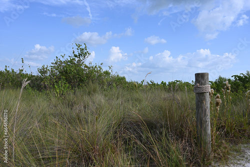 Beach Path With Pole and Rope