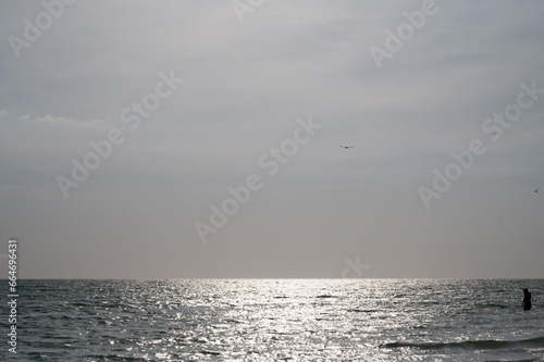 Tranquil Beach Scene