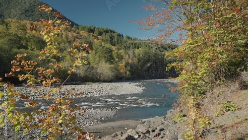 Beautiful Clean Water Elwha River with Rocks and Trees on the Olympic National Park Washington USA photo