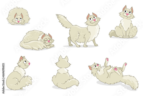 White cat in different poses. Vector illustration of a cat in cartoon style.