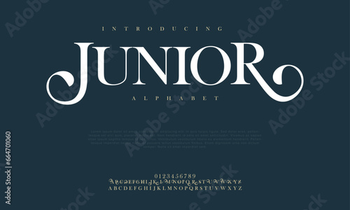 Junior premium luxury elegant alphabet letters and numbers. Elegant wedding typography classic serif font decorative vintage retro. Creative vector illustration