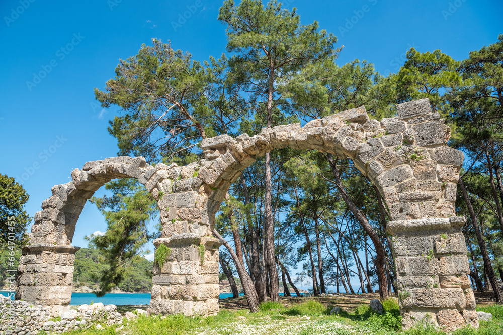 Ruined aqueduct at Phaselis ancient site in Antalya, Turkey.