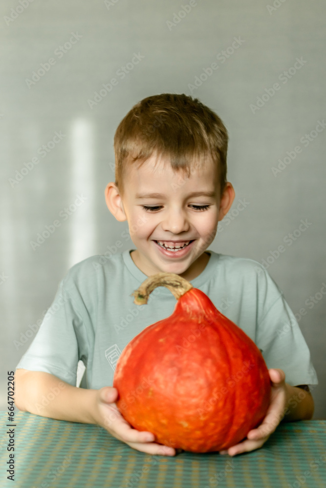 Fototapeta premium a blond-haired boy in a blue T-shirt holds an orange pumpkin in his hands