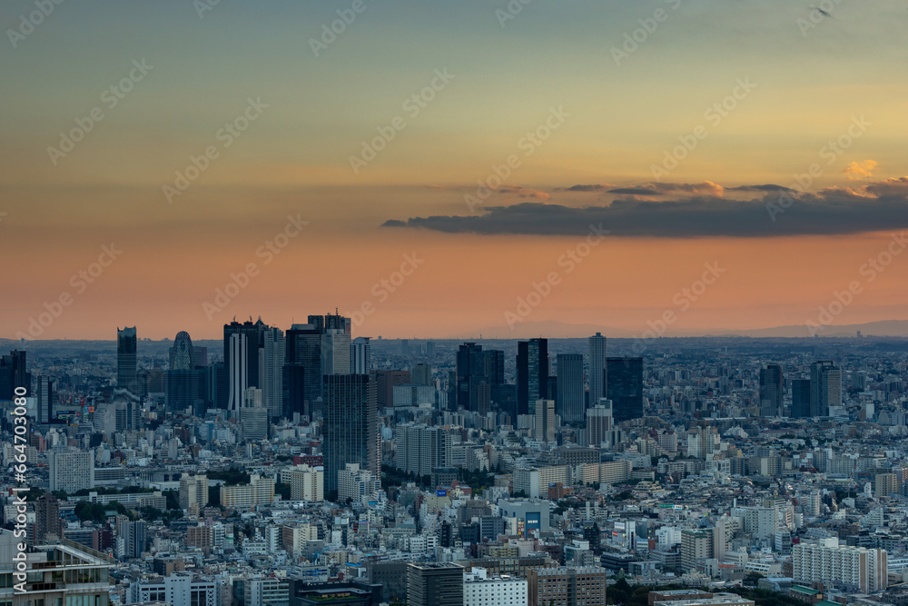 Tokyo Shinjuku area high rise buildings at golden hour.