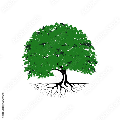 Tree and roots vector, tree with round shape