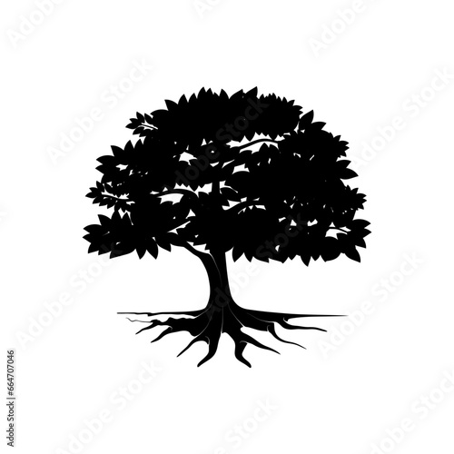 oak tree silhouette isolated on white background