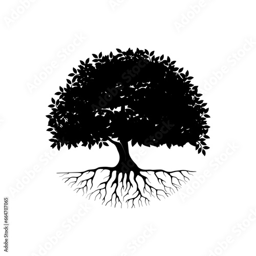 oak tree silhouette isolated on white background