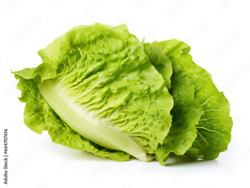 Lettuce Studio Shot Isolated on Clear Background, Food Photography, Generative AI Lettuce Studio Shot Isolated on Clear Background, Food Photography, Generative AI