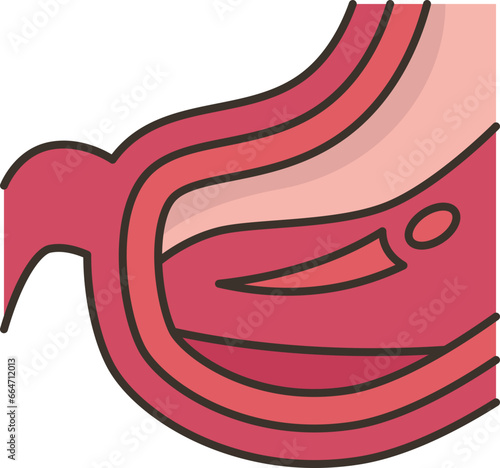 belly  icon