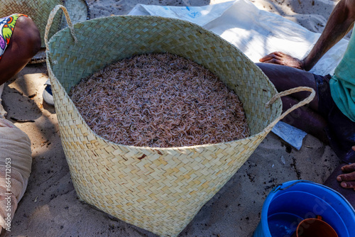 Panier rempli de petites crevettes sur une plage à Madagascar photo
