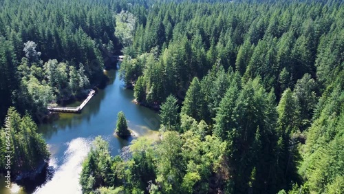 Aerial footage over Rice Lake, North Vancouver on a sunny day. Slowly gliding over the trees, the narrow lake among the forest