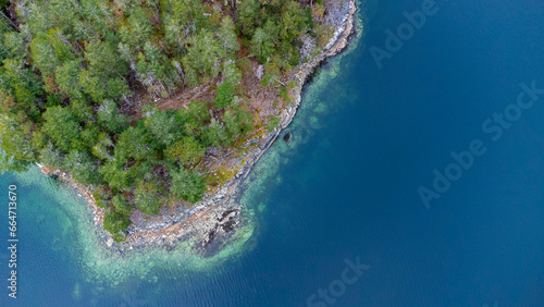 Fototapeta Naklejka Na Ścianę i Meble -  Forest trees at the edge of a rocky shoreline. Deep blue water surrounding the coast. 
