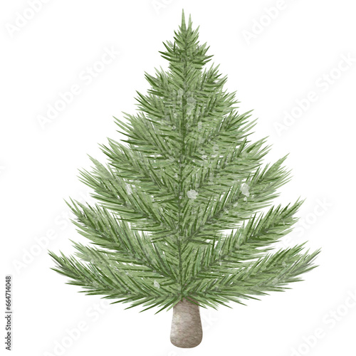 Christmas tree without decorations