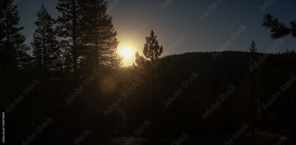 Night shot of moon shining above forest horizon and throught trees with stars in California, usa