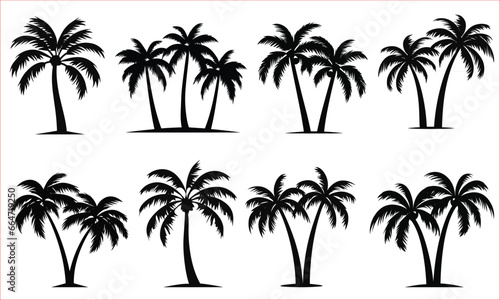 Palm trees silhouette  Tropical palm trees silhouettes  set tropical palm trees with leaves