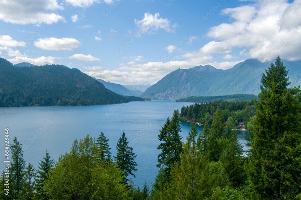 Lake Cushman and the Olympic Mountains in June