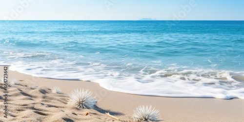 Beach shore close up photog...