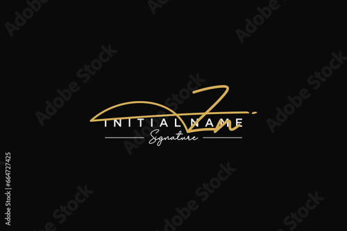 Initial ZN signature logo template vector. Hand drawn Calligraphy lettering Vector illustration.