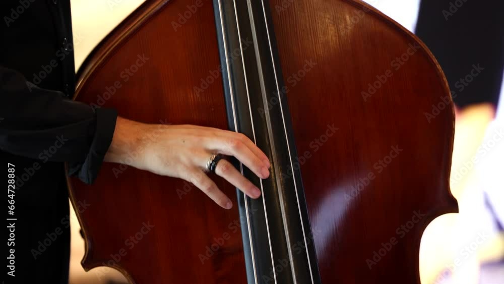 Contrabass musician. 4K close up video with hand male playing at contrabass. Beautiful jazz concert music video, selective focus. Contrabass musician. 4K close up video with hand male playing at contrabass. Beautiful jazz concert music video, selective focus.