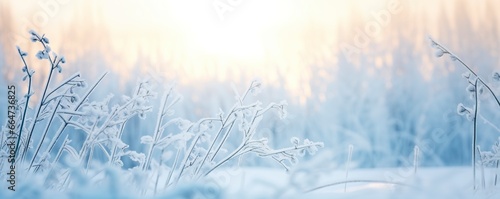 Frozen snowy grass  winter natural abstract background. beautiful winter landscape.