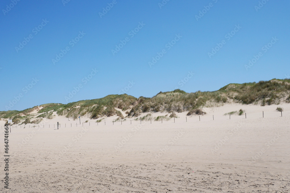 Dunes on the beach of Callantsoog at the North Sea in the Netherlands.