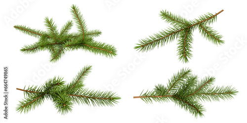 Christmas branch of fir tree isolated on white