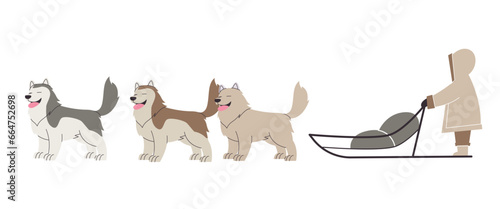 Dog sledding kids riding pull pets malamute siberian husky wolf snow sport