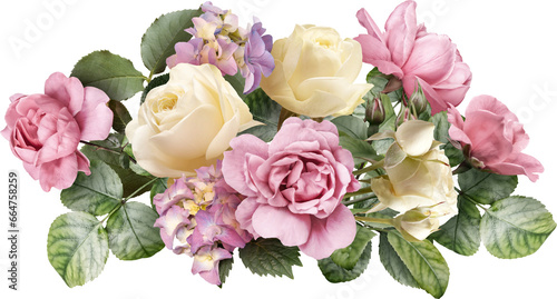 Pink and ivory roses isolated on a transparent background. Png file.  Floral arrangement, bouquet of garden flowers. Can be used for invitations, greeting, wedding card. © RinaM