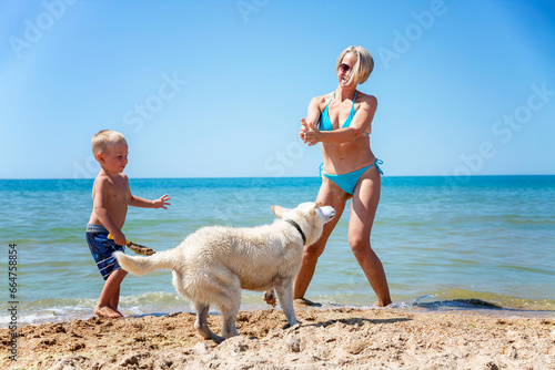 A young woman in a blue swimsuit with a little boy plays with a white dog on the seashore on a sunny summer day. Friendship and love with pets. © Анна Демидова