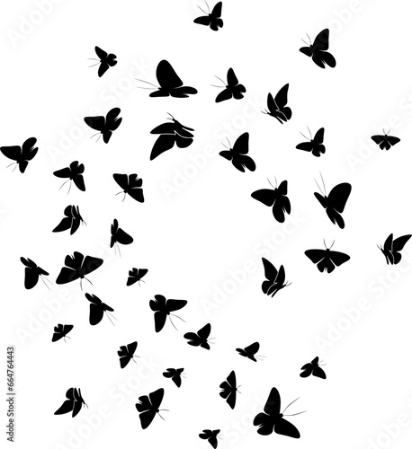 butterfly silhouette and vector ustration design