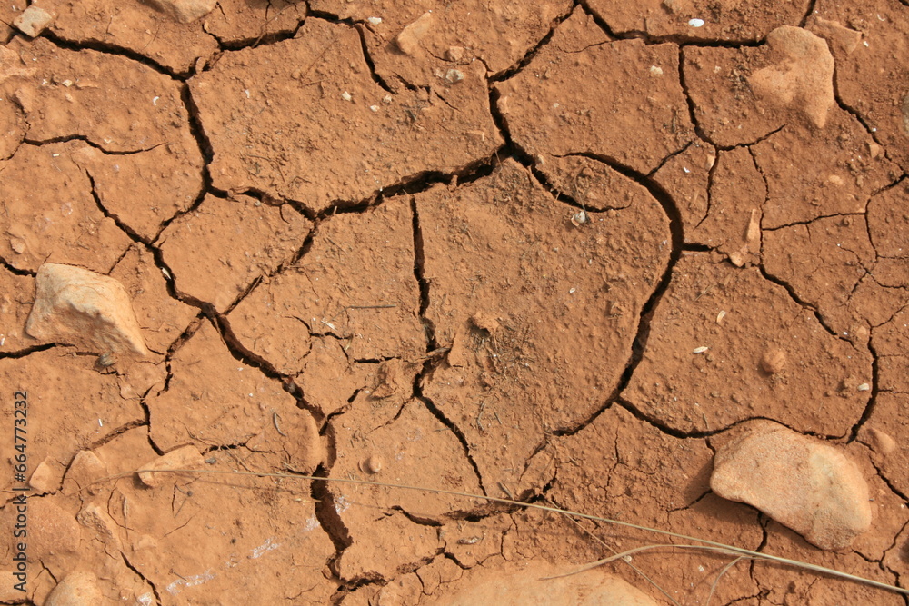 Fototapeta premium ausgetrocknete Erde, authentisches Foto