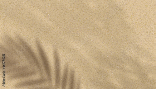 Sand texture background with palm leaves silhouette,Coconut leaf Shadow on Brown Sandy Beach,Vector top view Sand Surface,Backdrop background Wide Horizon Desert dune for Summer Product Presentation