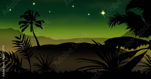 Fototapeta Naklejka Na Ścianę i Meble -  Exotic palm trees with stars on green background