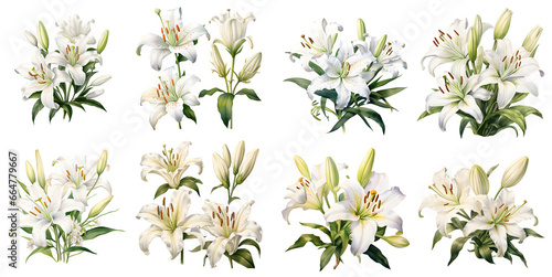 White lily illustration clipart. Generative AI. photo