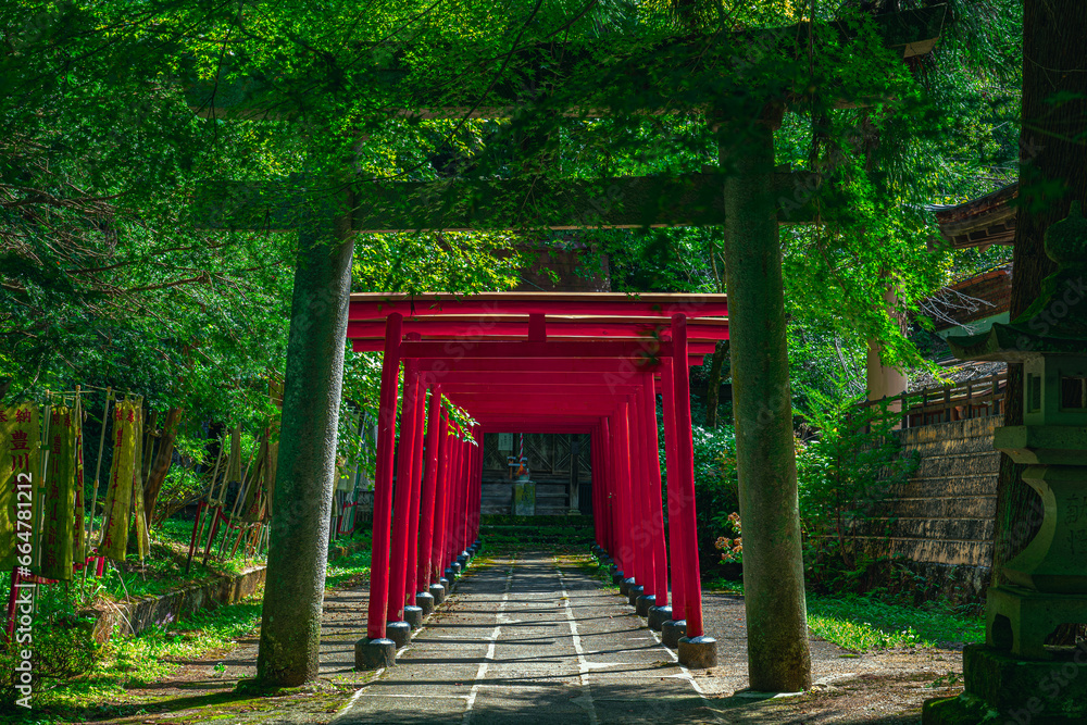 日本の神社 (豊川城山稲荷神社) StockFoto Adobe Stock