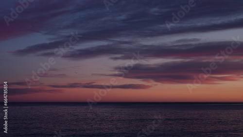 Beautiful sunset with purple clouds and flying birds over the sea