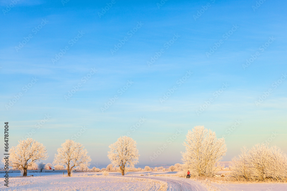 Awesome winter landscape in a rural landscape Awesome winter landscape in a rural landscape
