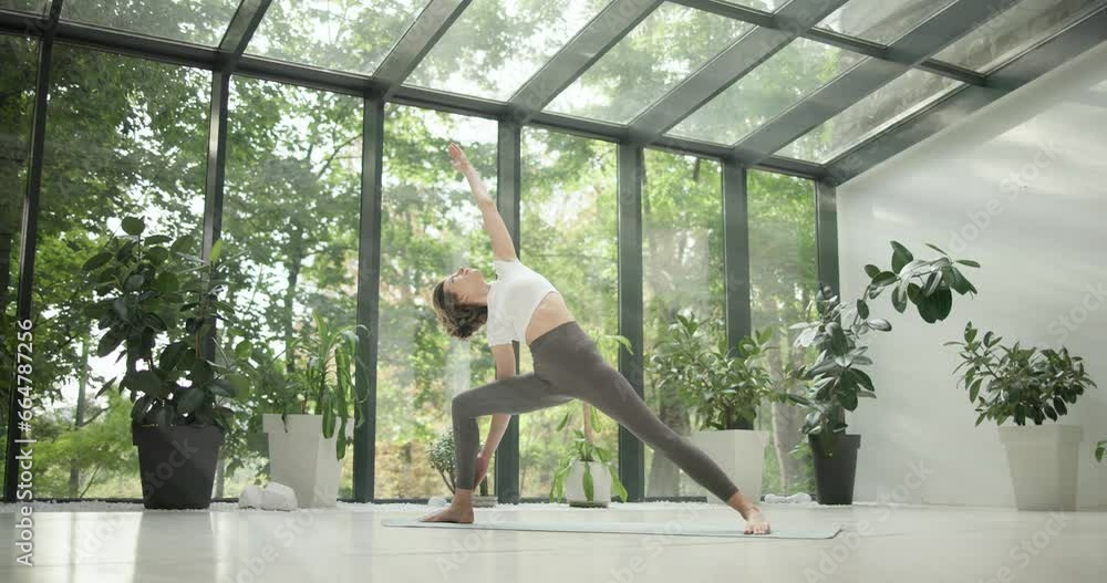 young caucasian fitness woman practicing yoga on a yoga mat in a modern studio with plants and large forest or garden overlooking windows young caucasian fitness woman practicing yoga on a yoga mat in a modern studio with plants and large forest or garden overlooking windows