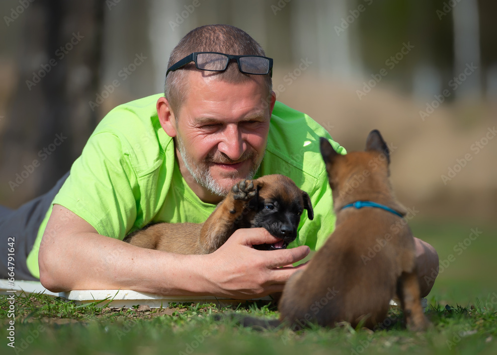 Smiling man hugging two Belgian Malinois puppies Smiling man hugging two Belgian Malinois puppies